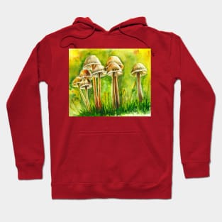 Conical Brittlestem mushroom Hoodie